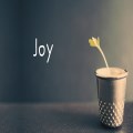 Joy 