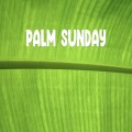 Palm Sunday 2025