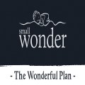 The Wonderful Plan